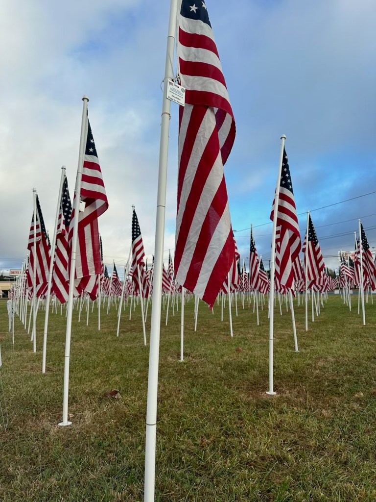 An image of some of the flags dedicated in honor of U.S. service members, first responders, and other heroes 